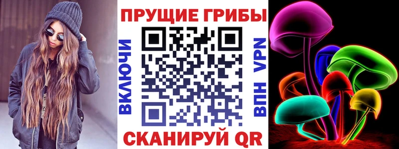 сколько стоит  нарко площадка какой сайт  Галлюциногенные грибы MAGIC MUSHROOMS  Севск 
